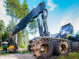 Abattage et élagage la Rochelle