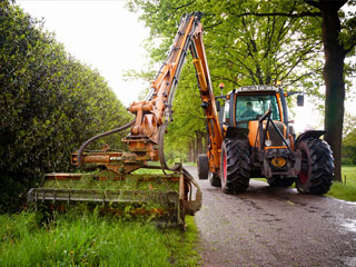 Abattage et élagage 44